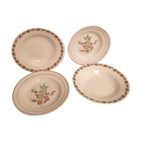 Assorted 4 plates in red and green tones