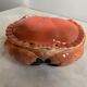 Ceramic crab-shaped box