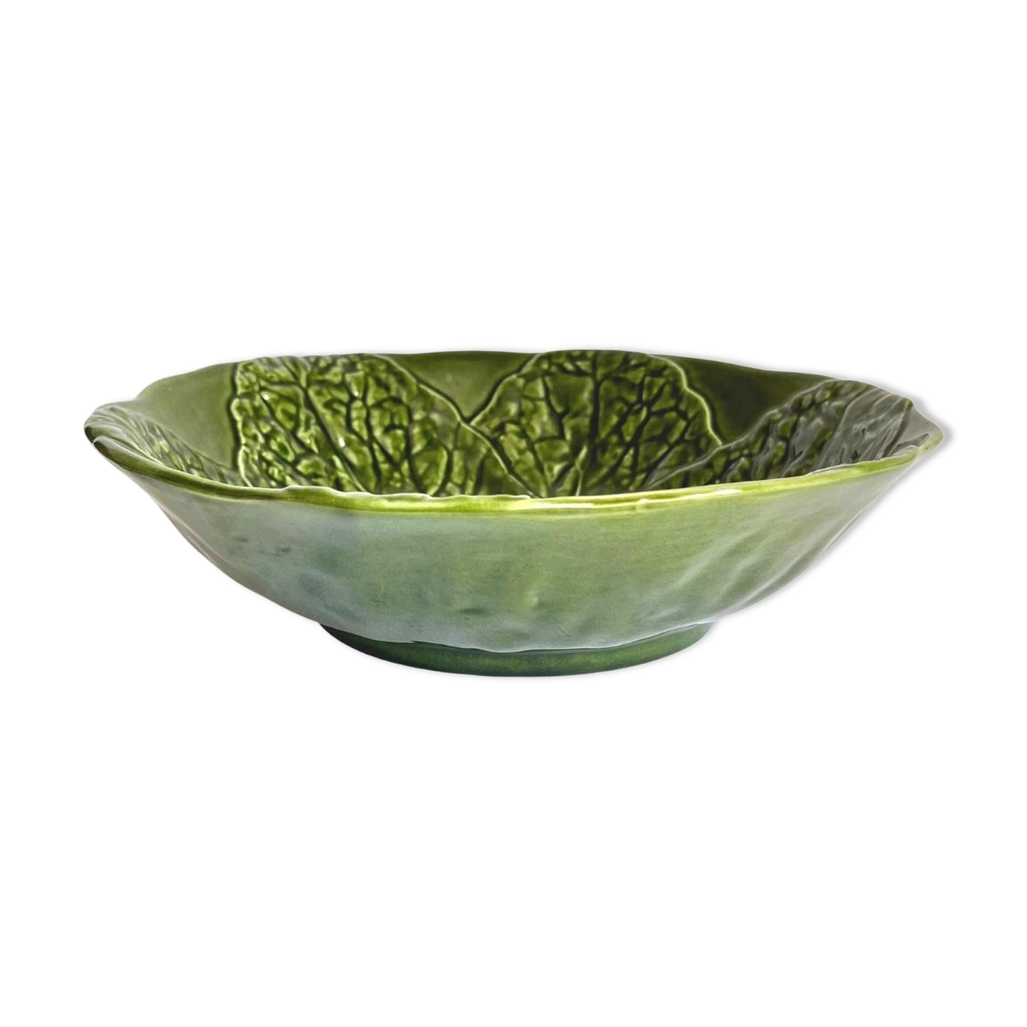 Salad bowl slurry Costa Pereira Portugal cabbage leaves