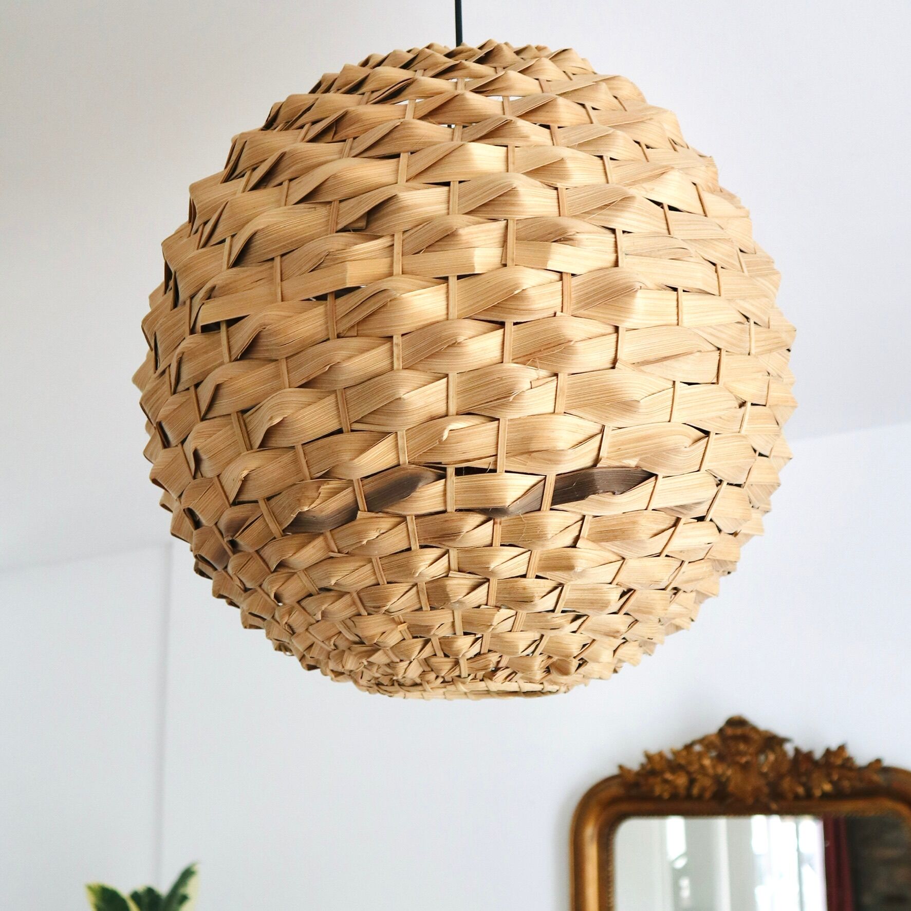 Braided palm ball suspension