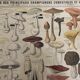 Botanical poster "Edible and poisonous mushrooms"