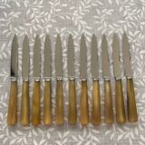 Set of 11 small knives L20cm