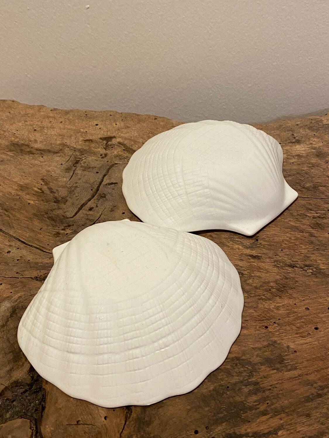 Vide poche coquillage