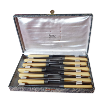 Coffret de 12 couteaux de table