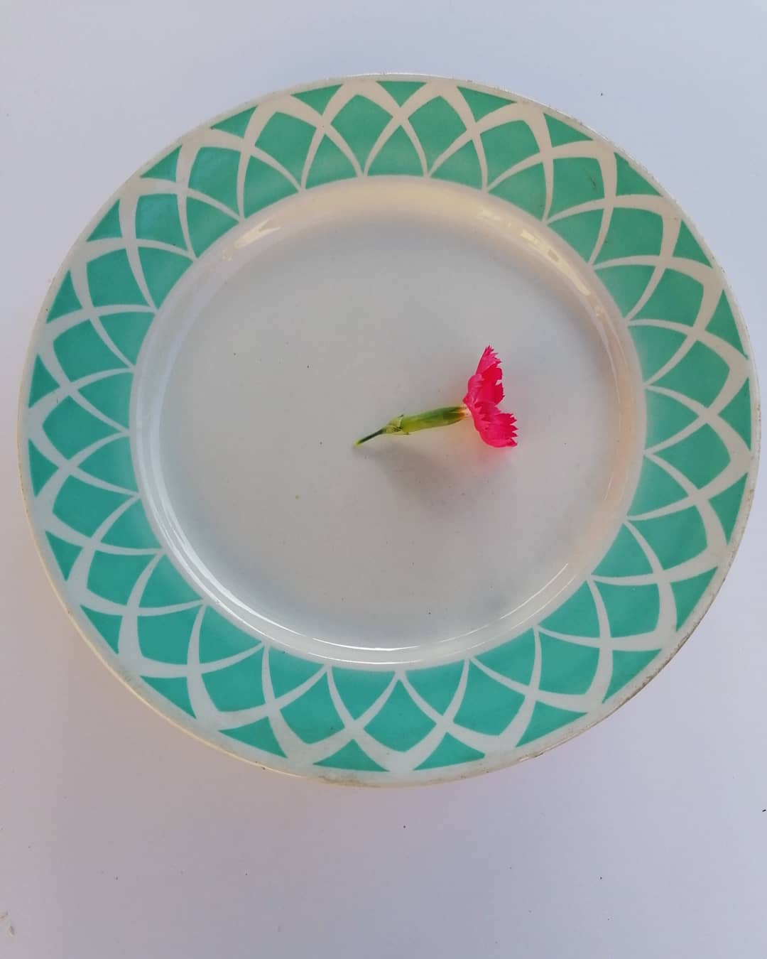 6 flat plates, Badonvillers earthenware, lagoon green, 60s