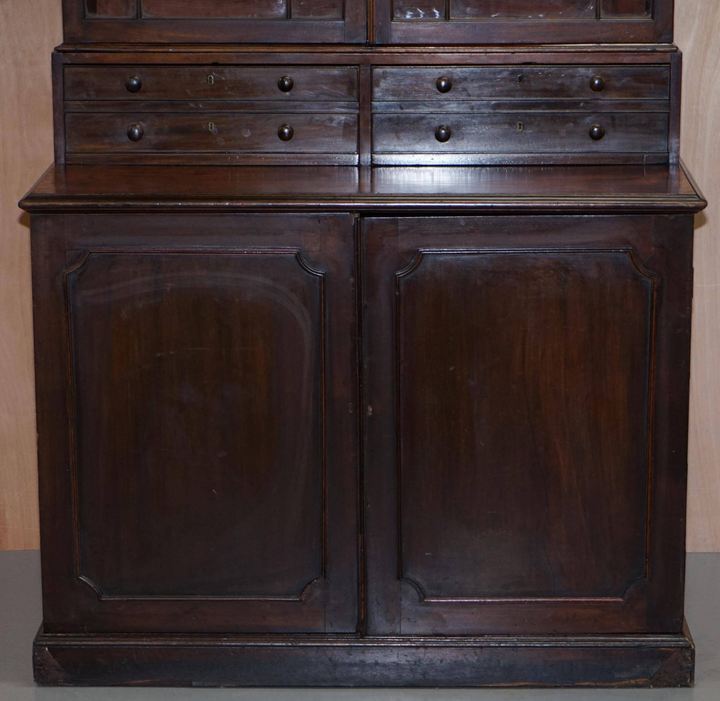 Bibliothèque George IV circa 1820 en bois dur avec tiroirs et vitrage astral