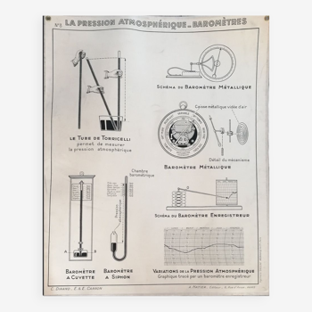 Educational poster 1940-1950