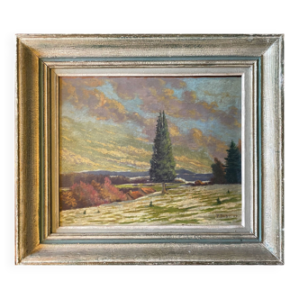 HSP painting "Snow landscape in the village" signed P. Debu dated 1942 + frame