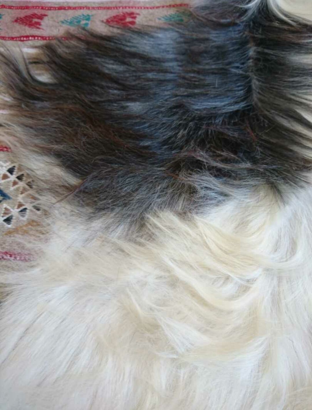 Natural black and white goat skin 92x47cm