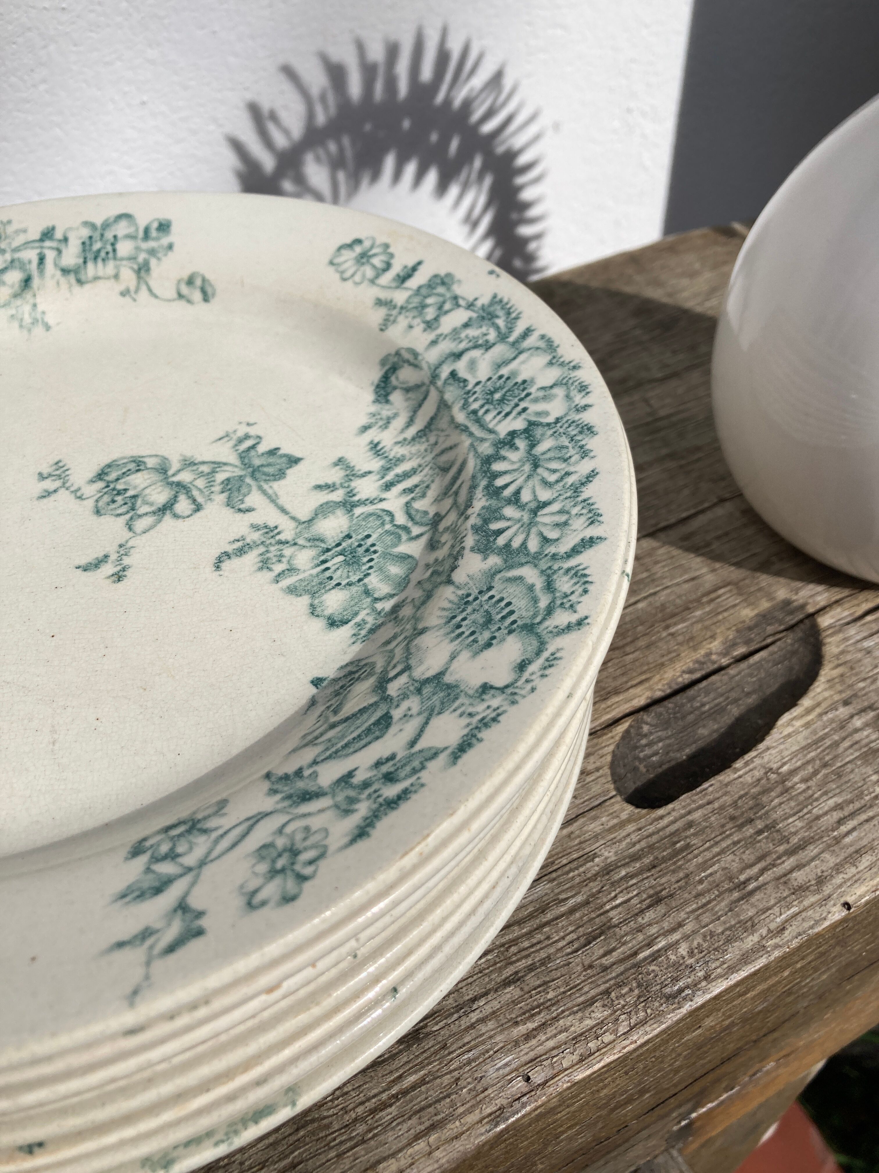 8 Terre de fer plates Anémones Bertrand Bordeaux old in green ceramic decorated with flowers