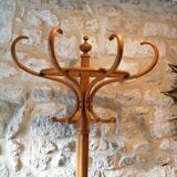 Porte manteau perroquet