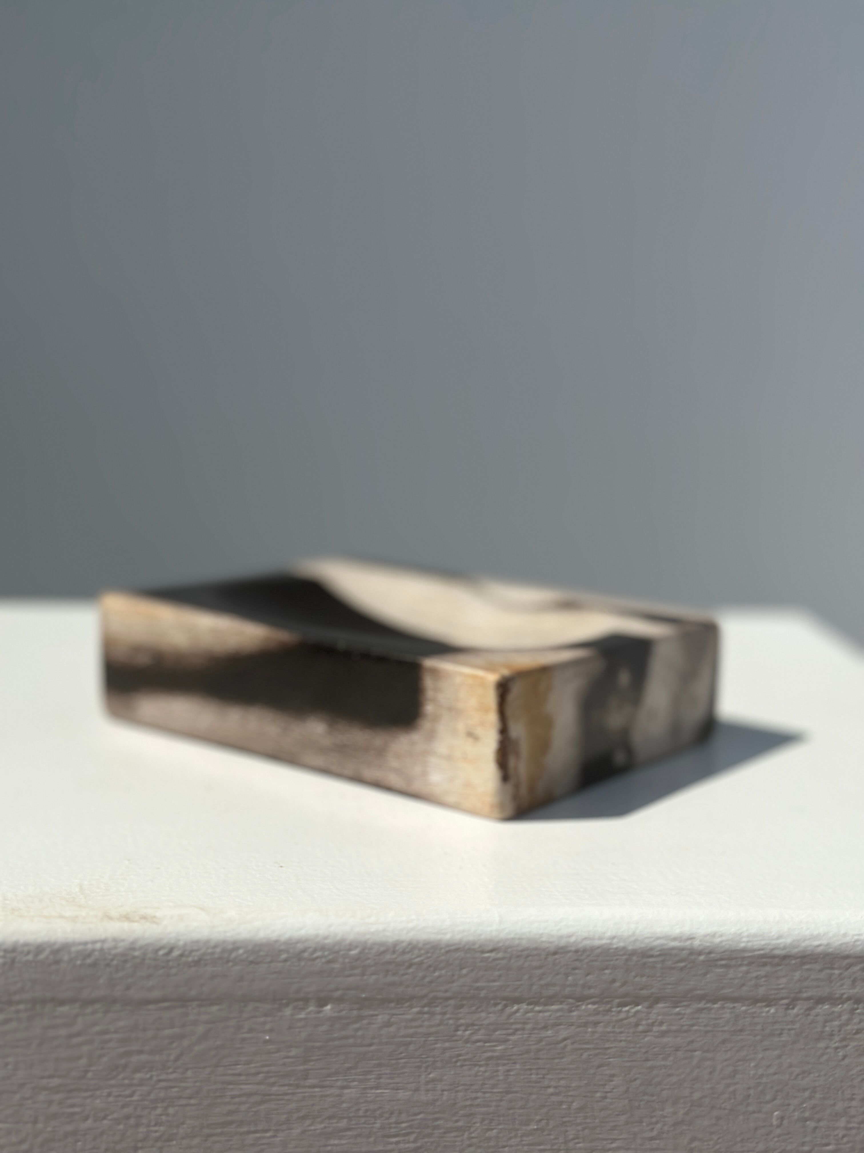 Symmetrical multicolored petrified wood soap dish