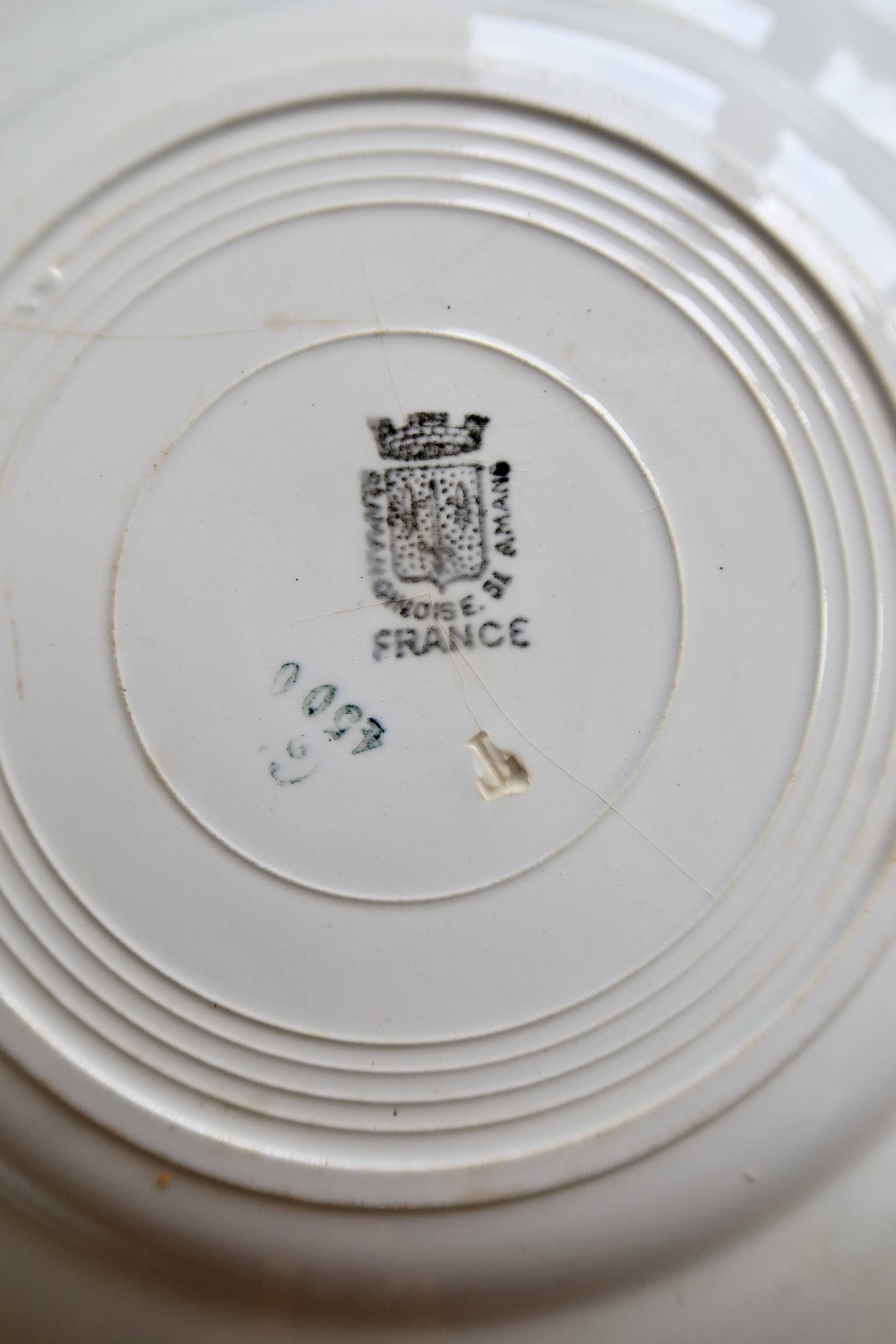 6 vintage plates from Terre de Ter Saint Amandinoise, Saint Amand model 4500.