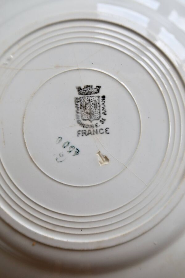 6 assiettes vintage terre de ter Saint Amandinoise Saint Amand modèle 4500
