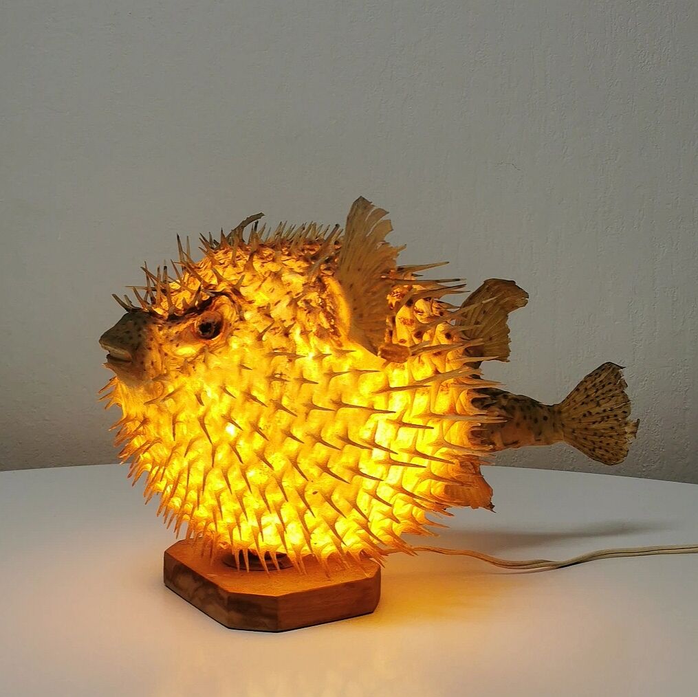 Naturalized Moonfish Lamp, 1950