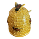 Honey pot
