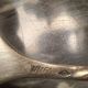 Sardine fork - WMFN