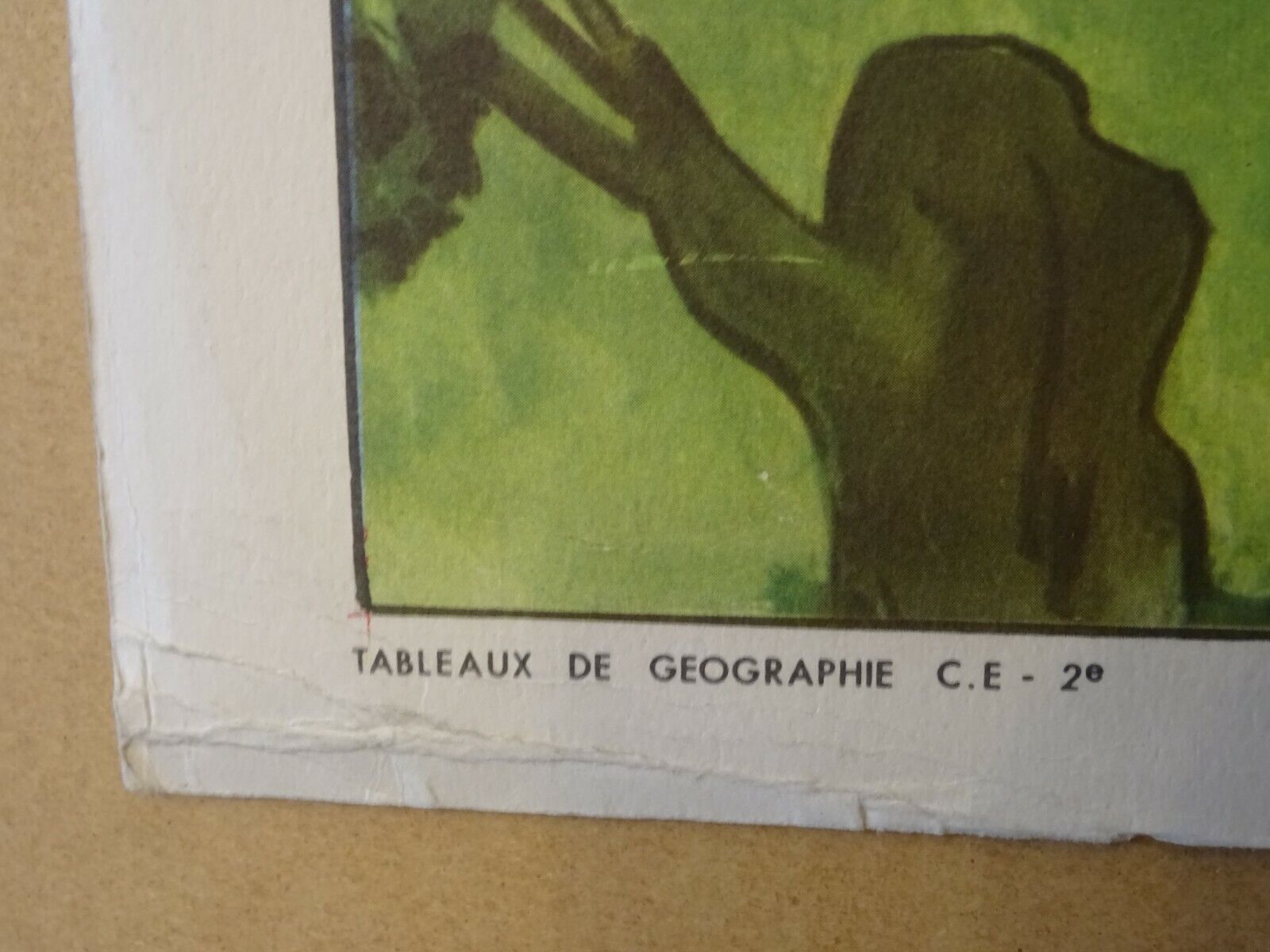 Rossignol school poster in the sea underwater life / the bocage