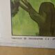 Rossignol school poster in the sea underwater life / the bocage