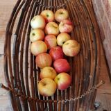 Corbeille à fruits en rotin en forme de bateau