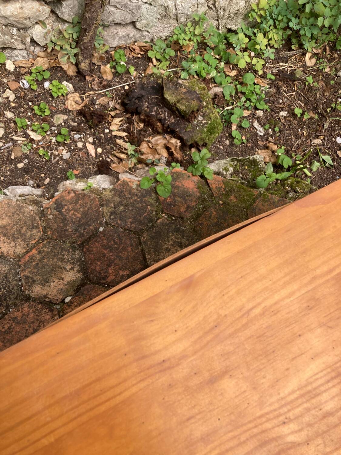 Old trade cabinet with drawers