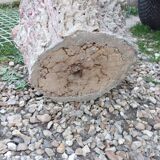 Medicis stone planters with old tree trunk decor