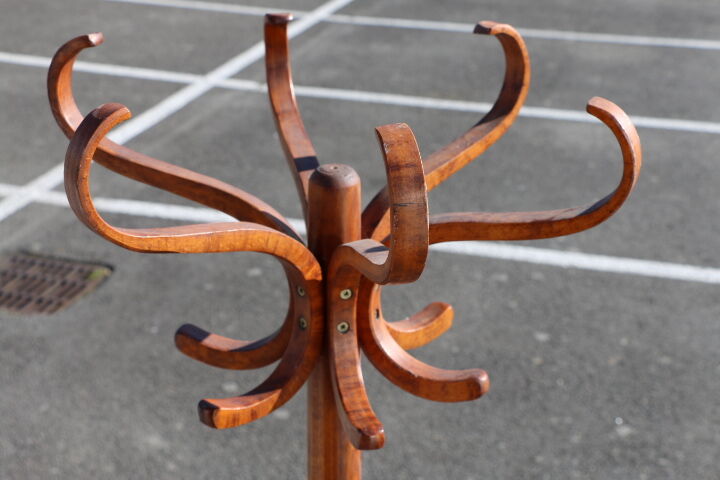 Parrot coat medium baumann beech