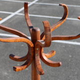 Parrot coat medium baumann beech