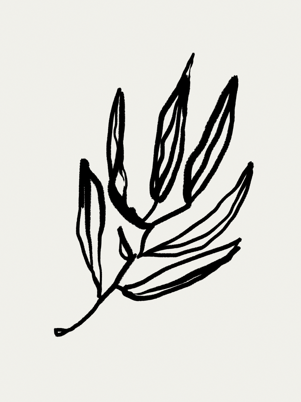 Botanical illustration giclee print, 50x70