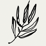 Botanical illustration giclee print, 50x70