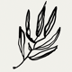 Botanical illustration giclee print, 50x70