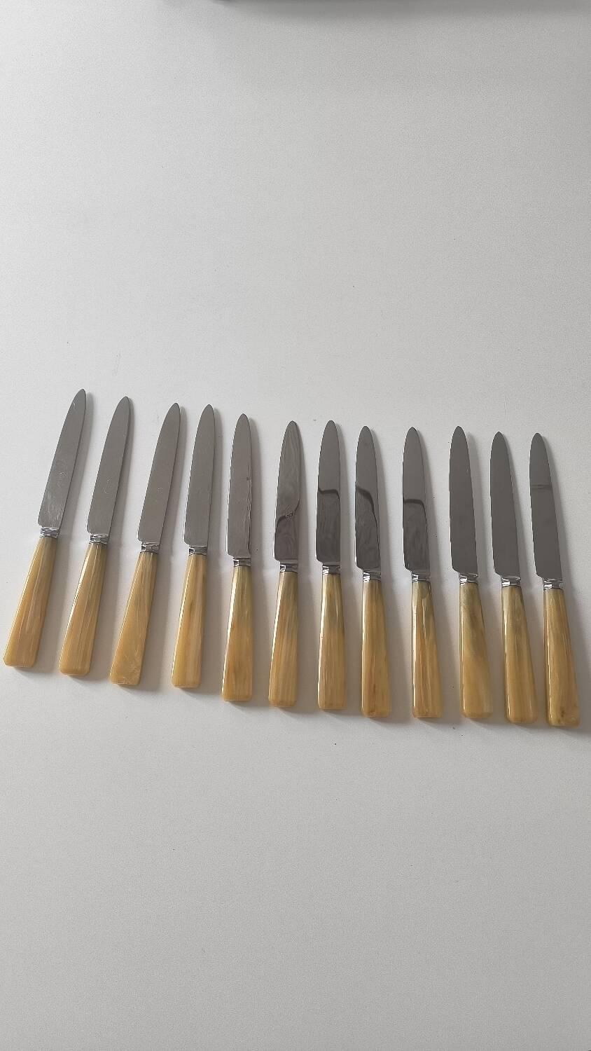 Set of 12 bakelite and stainless steel knives