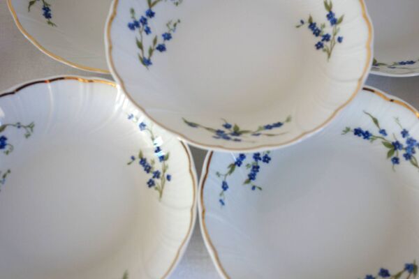 10 bols à fruits à dessert myosotis porcelaine Bernardaud Limoges