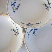 10 Bernardaud Limoges porcelain forget-me-not fruit dessert bowls
