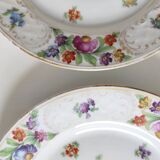 Pair of German porcelain flower plates