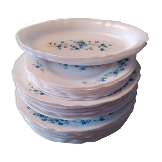Service de table  vintage Arcopal Myosotis