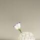 Vase stings flowers medium