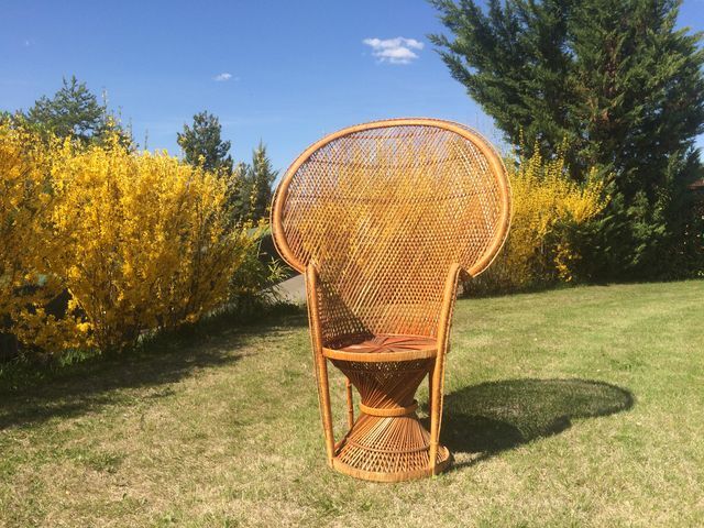 Emmanuelle wicker and rattan chair for adults 1970s