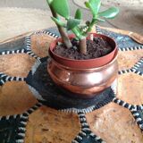 Copper pot cache