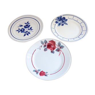 Assortiement de 3 assiettes à fleurs bleu et rouge vintage