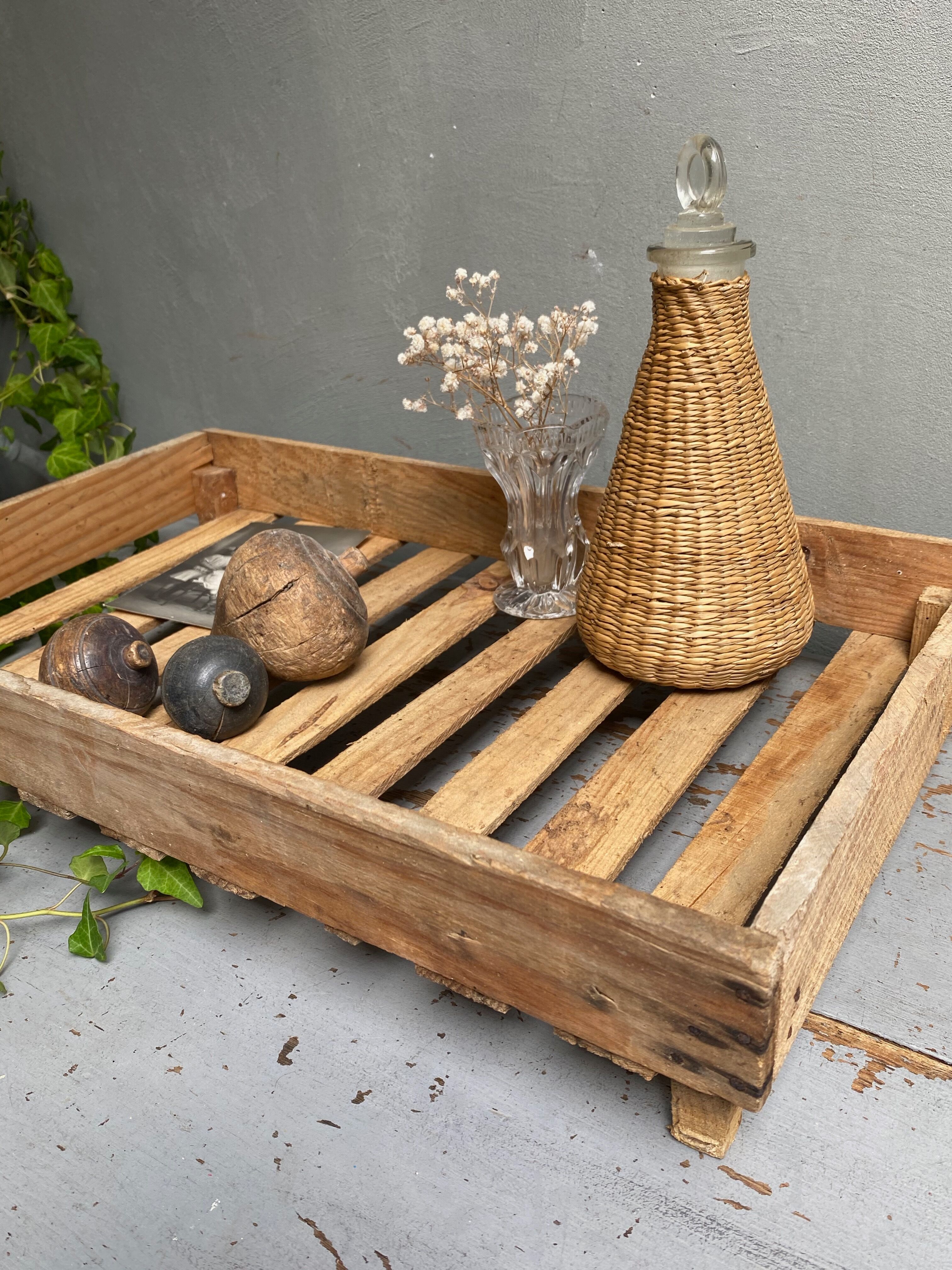 Market gardener tray