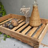 Market gardener tray