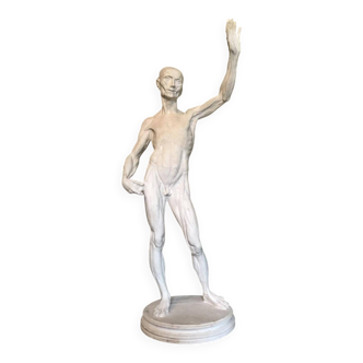 Plaster cast of a flayed figure