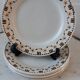 Set of 6 dessert plates Gien early twentieth century