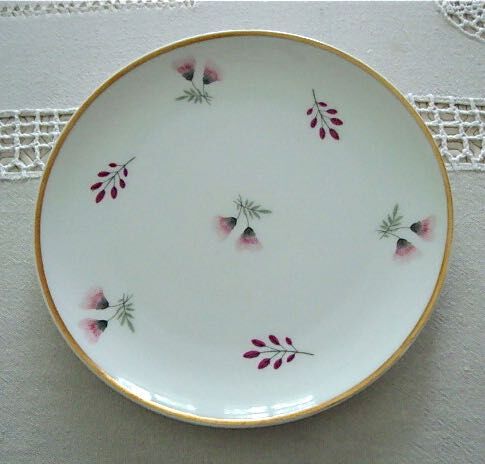 Set 12 plates and 1 porcelain dessert dish