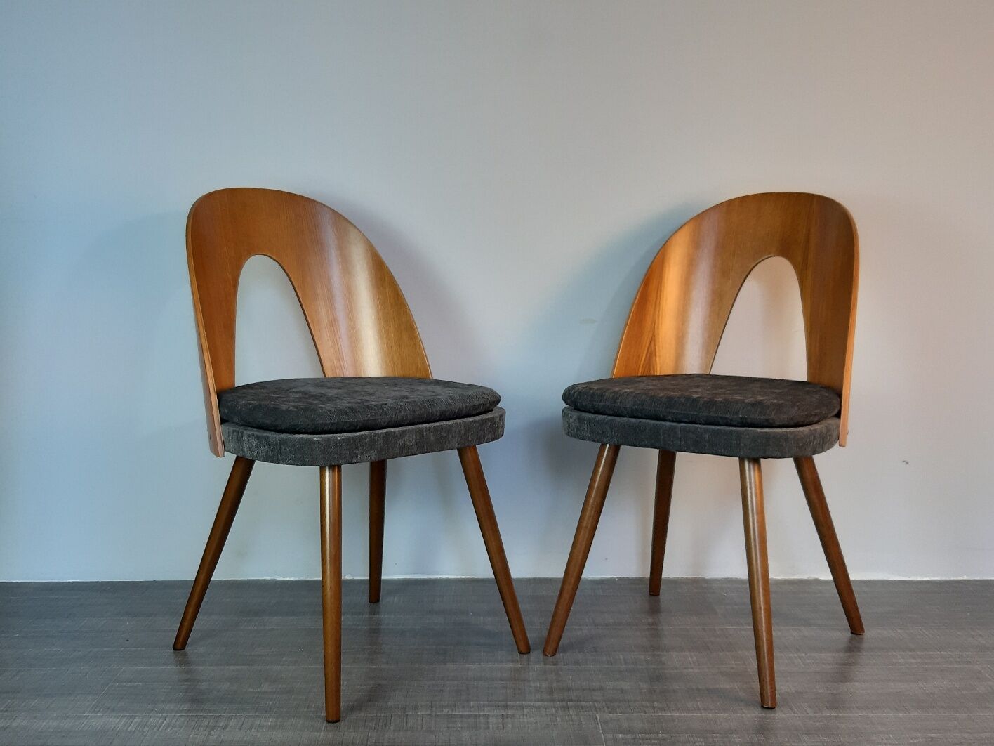 Set 6 chairs Walnut Suman by MIER, Mid-Century Czechoslovakia 1960 s