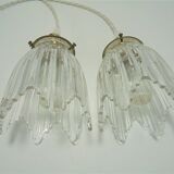 Pair of glass pendant lights