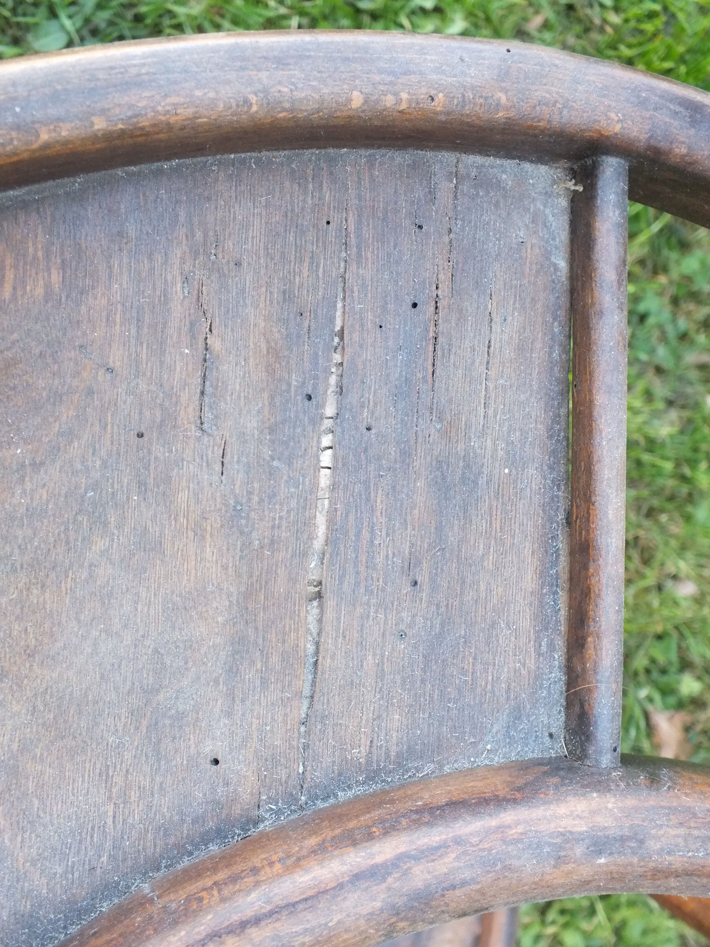 Baumann barber in thermoformed wood