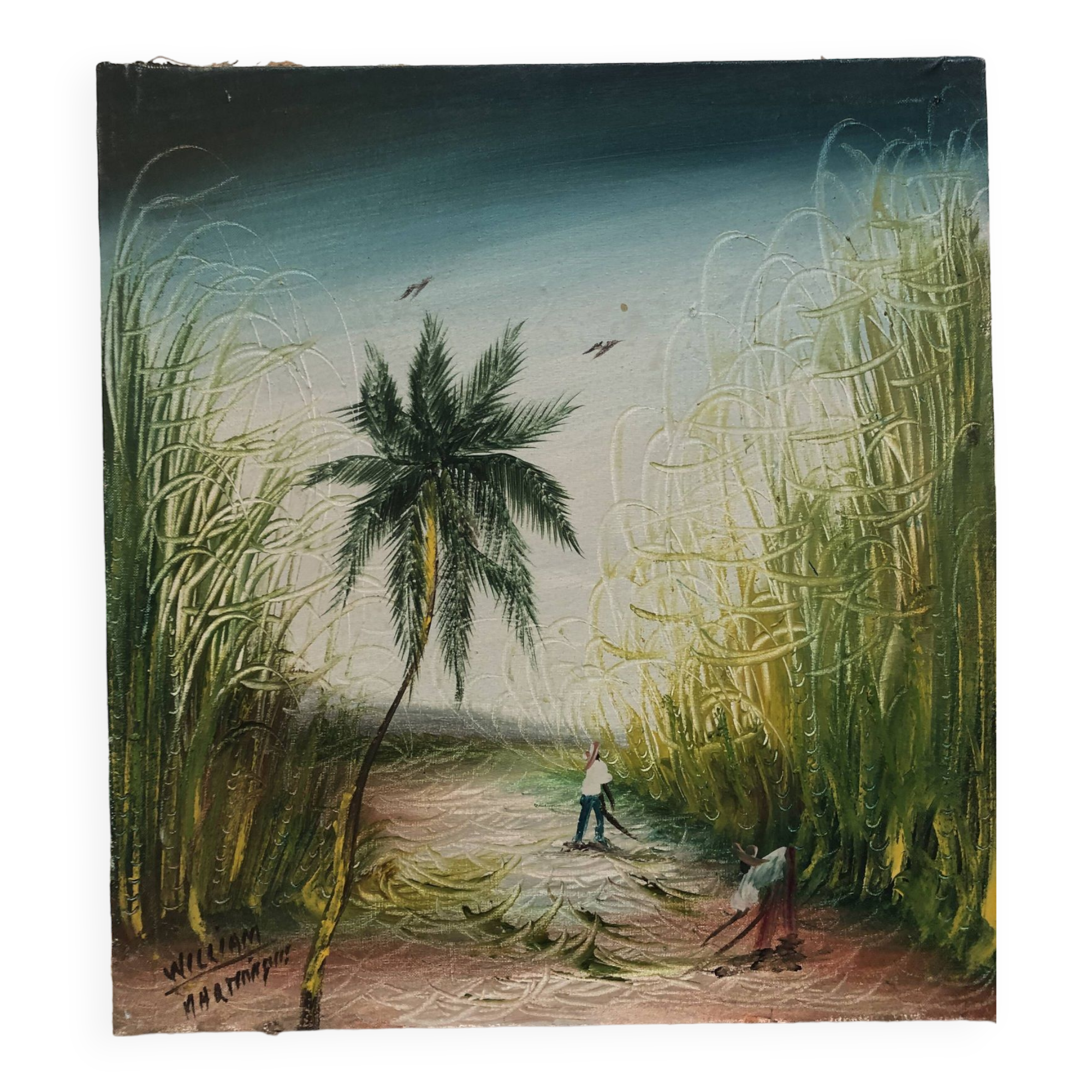 Painting oil on canvas the sugar cane cup in martinique signed william 1980, antilles hst