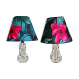 Pair of Crystal x jungle lamp